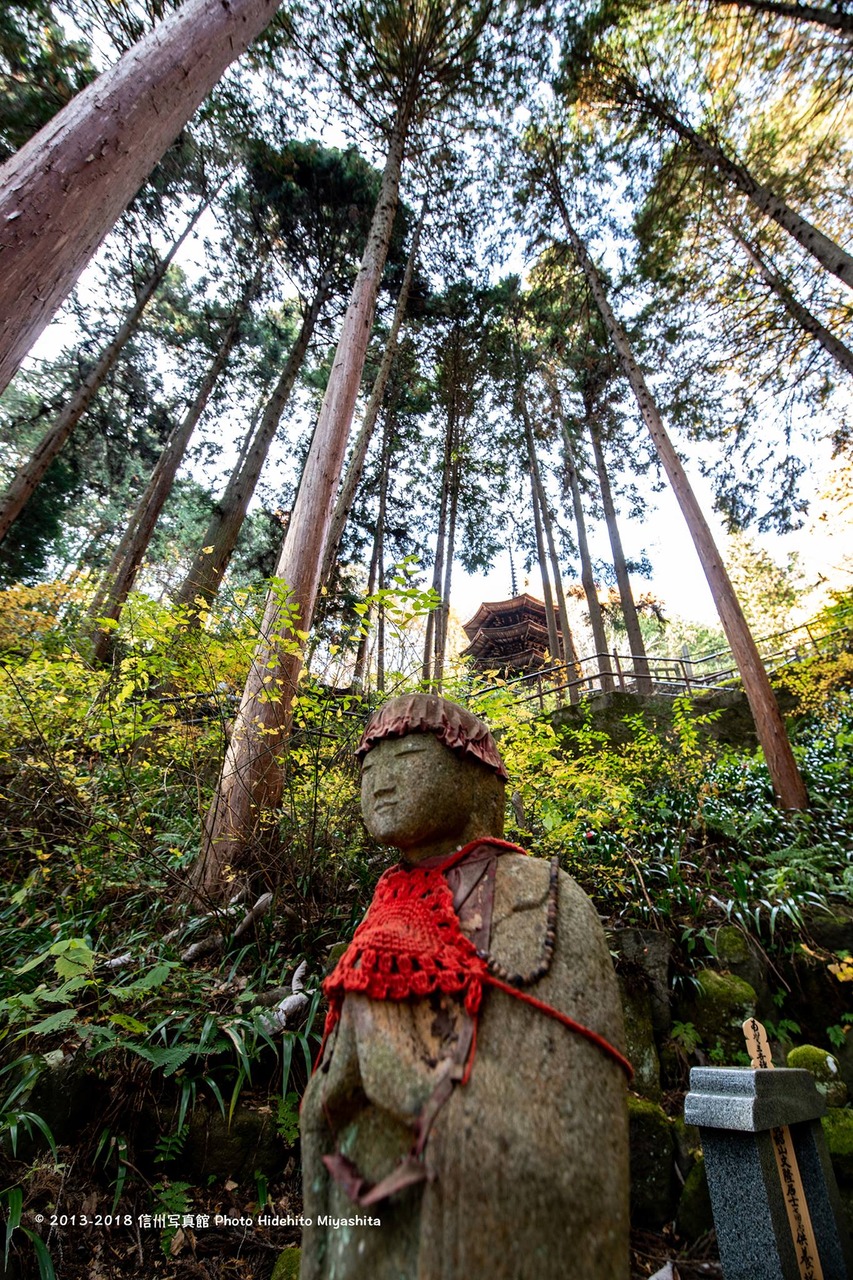 安楽寺にて