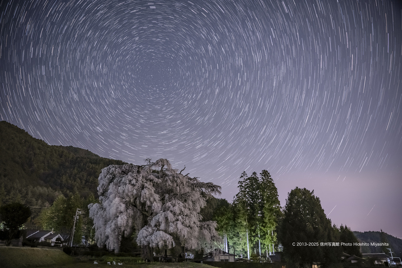 20250417-20250417-DSC_2431 のコピー のコピー