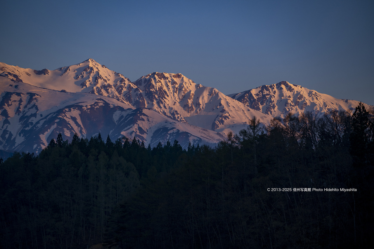 20250426-DSC_4319 のコピー