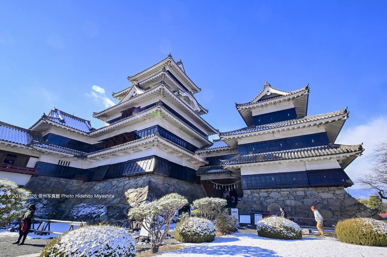 20260103-_DSC5825 のコピー