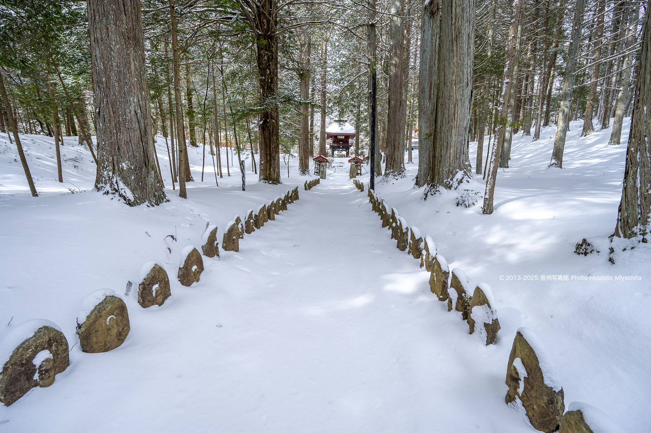 20250208-_DSC9329 のコピー