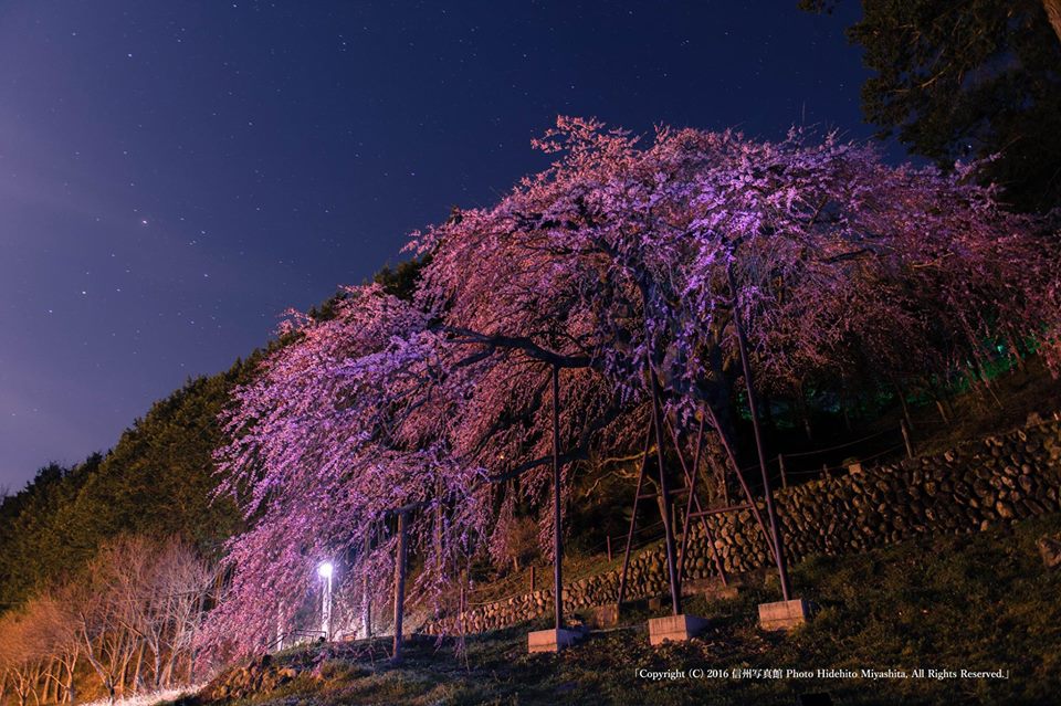 深夜のくよとにて