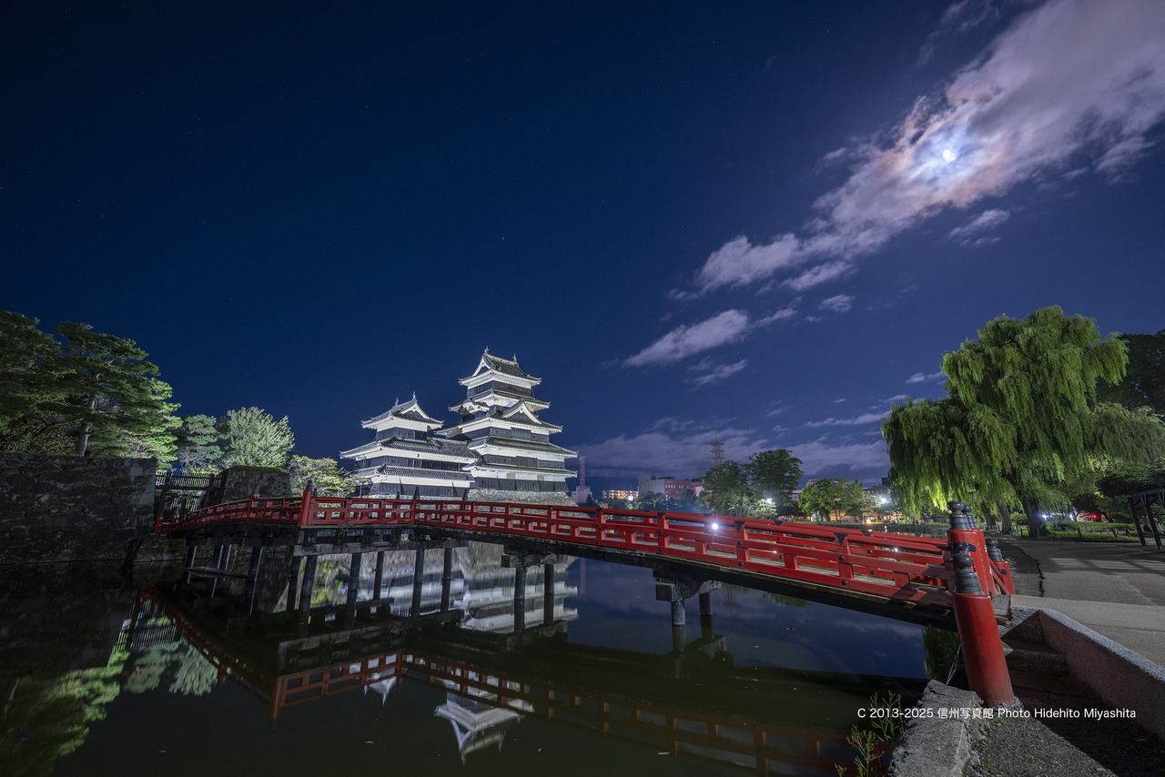 20250905-_DSC0300 のコピー