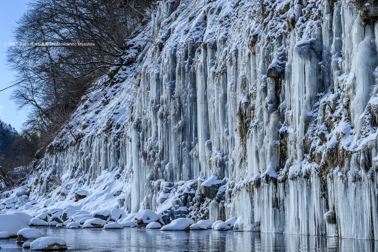 20250211-_DSC1174 のコピー