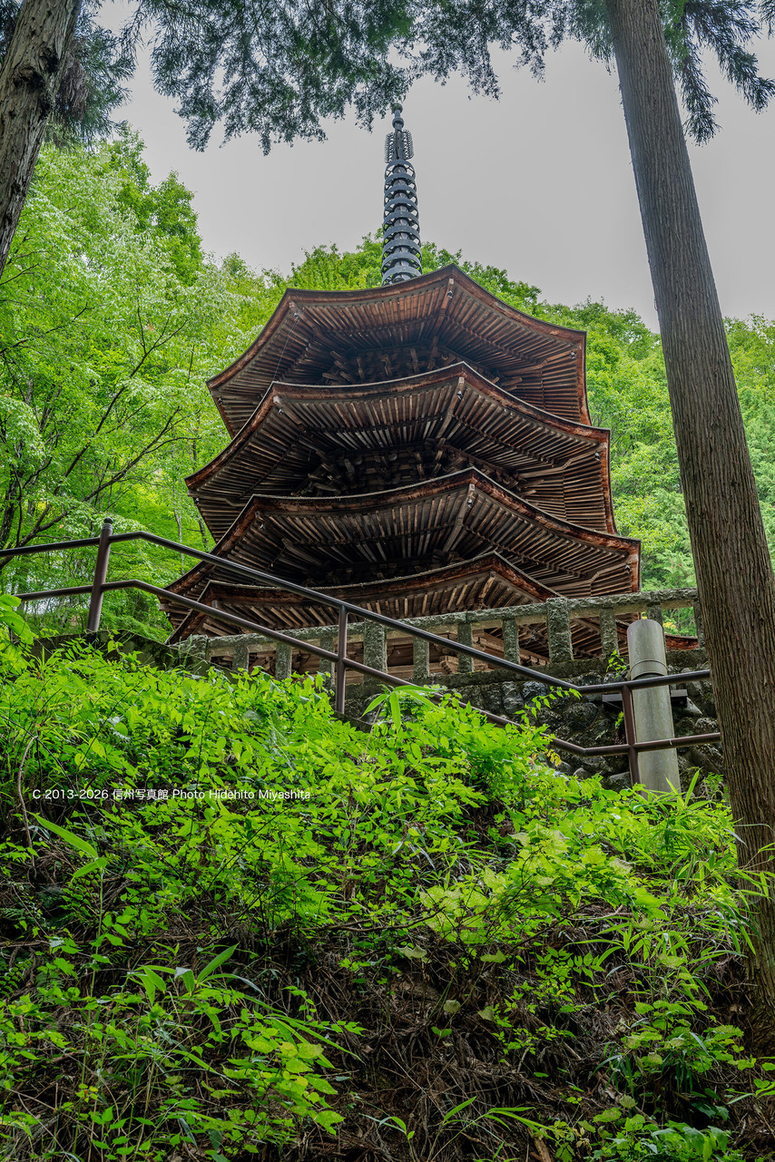 20260808-_DSC9863 のコピー