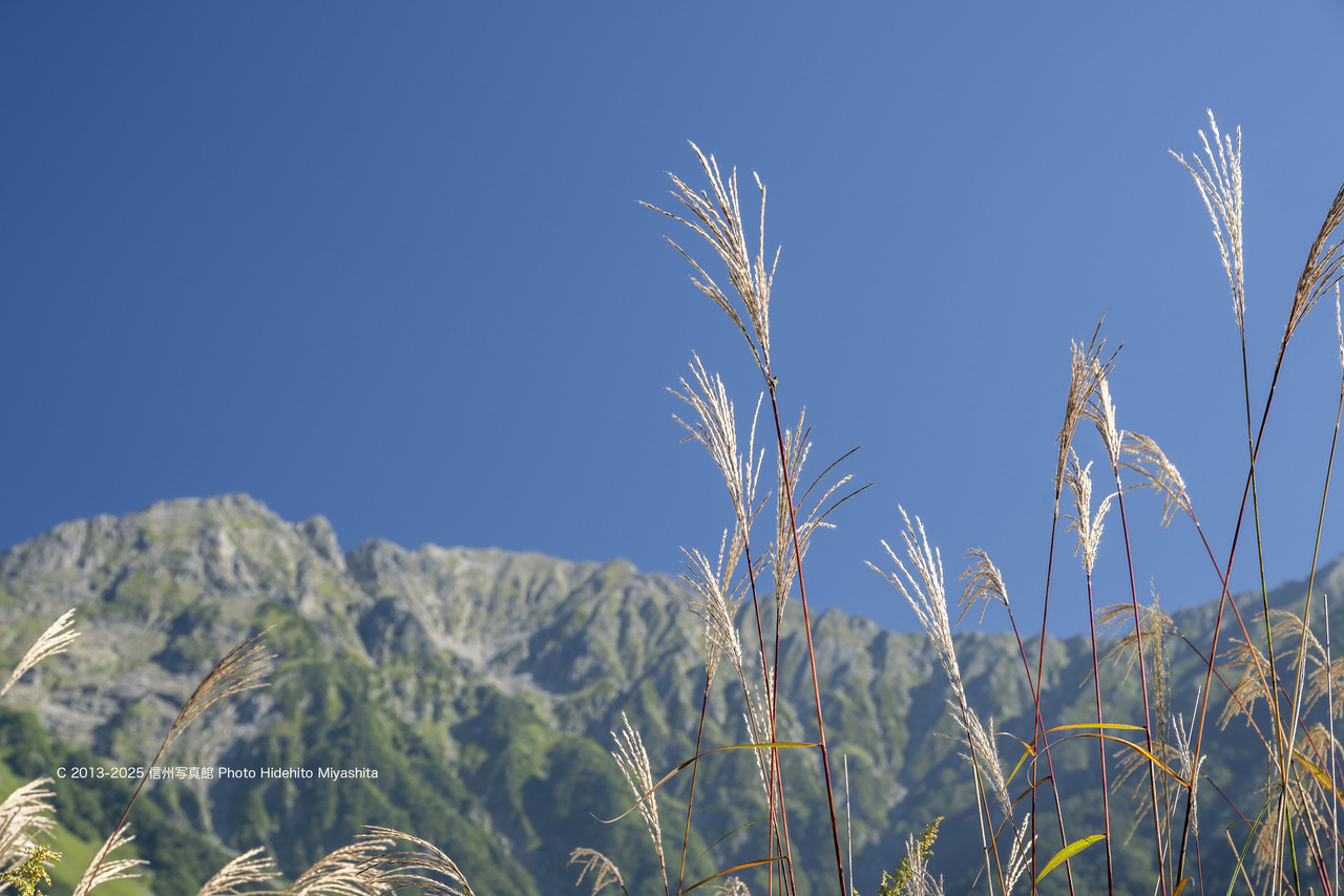 20250831-_DSC2335 のコピー