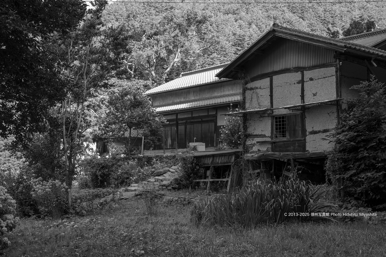 20250823-_DSC8160 のコピー
