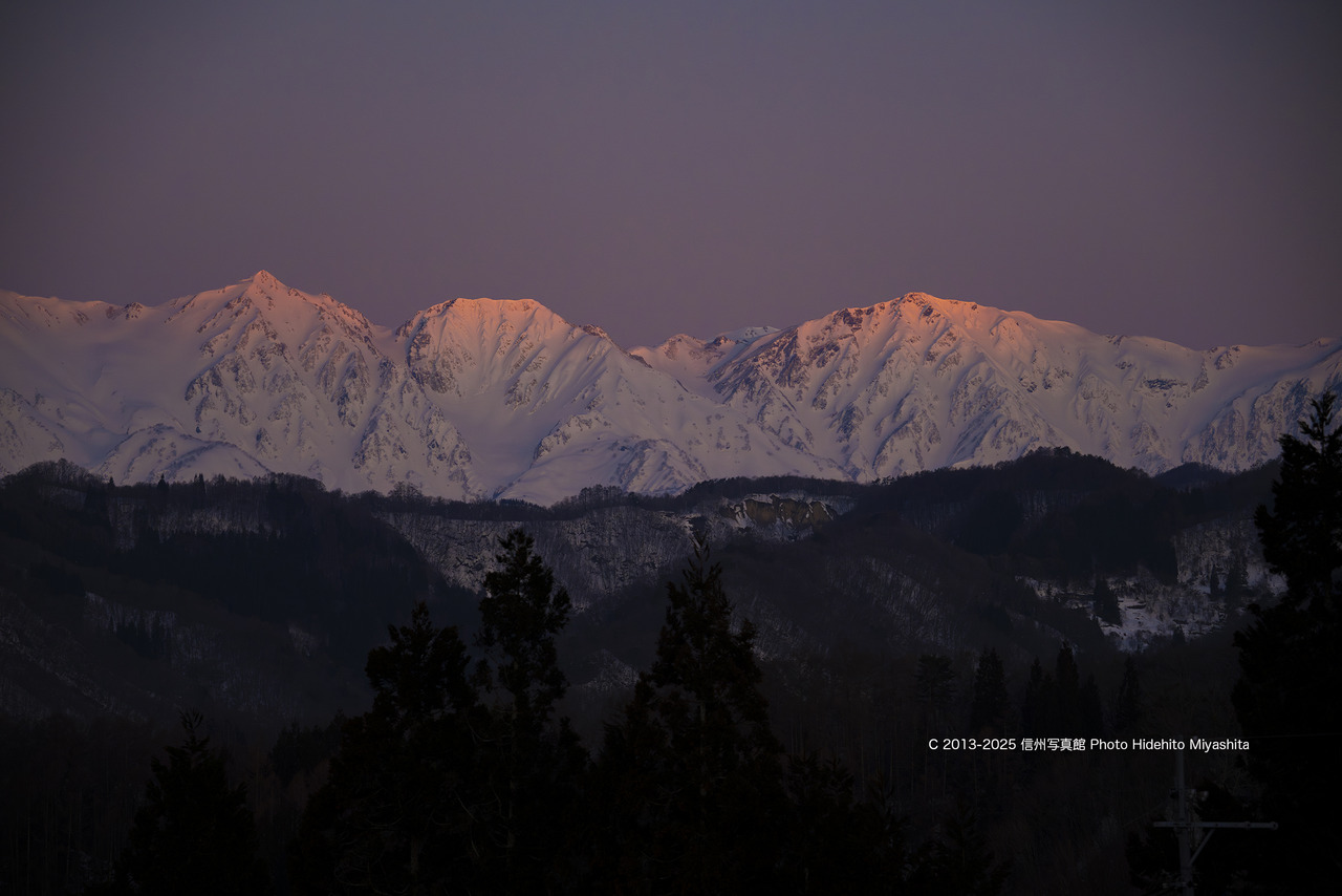 20250301-_DSC4186-強化-NR のコピー