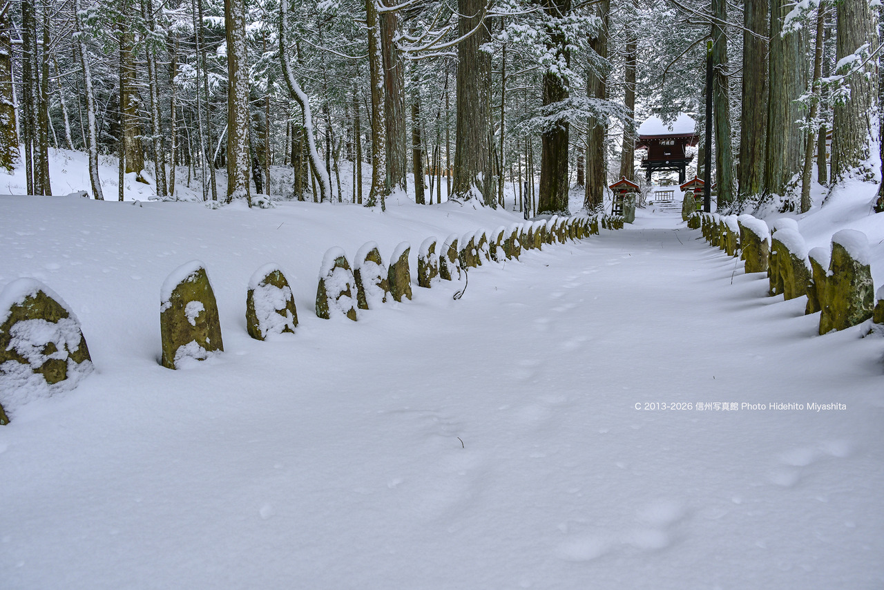 20260125-_DSC6781 のコピー