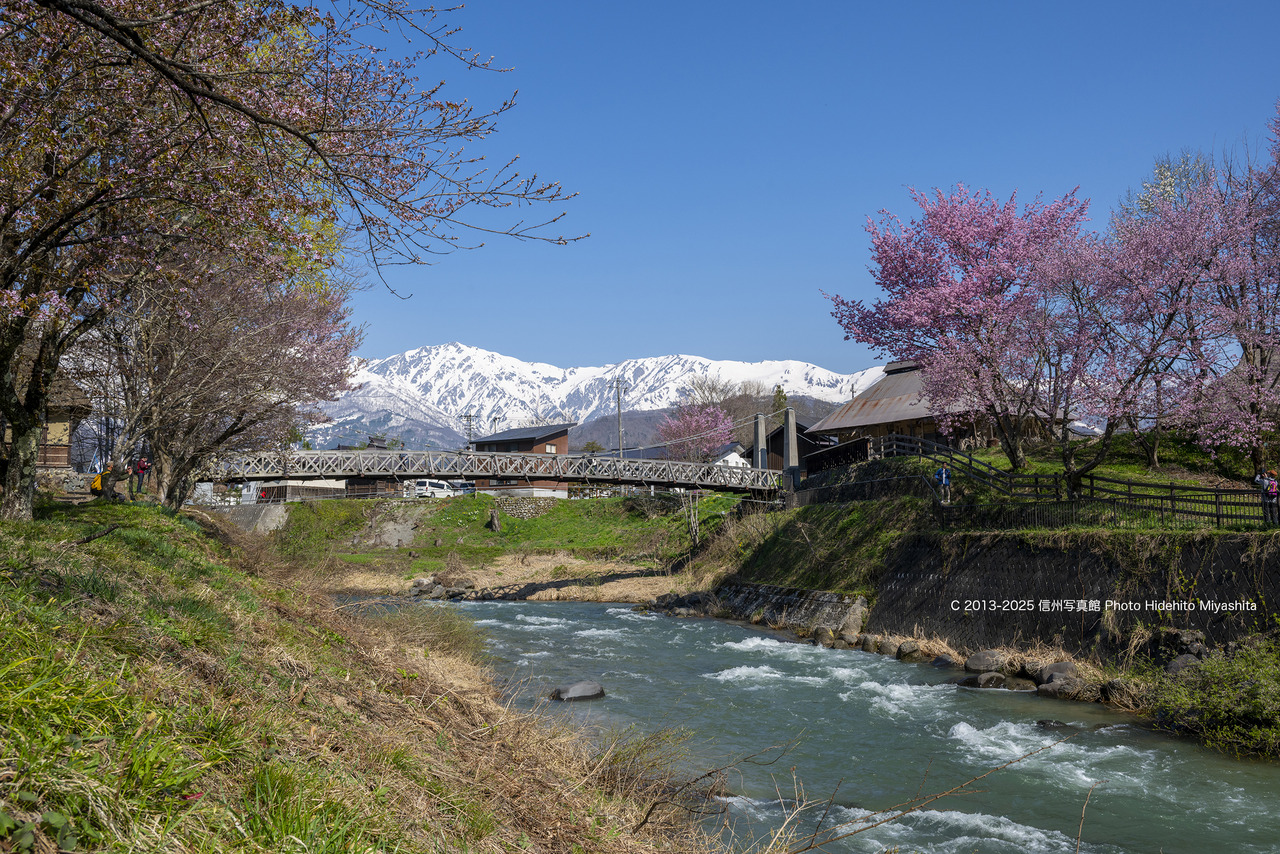 20250426-DSC_4622 のコピー