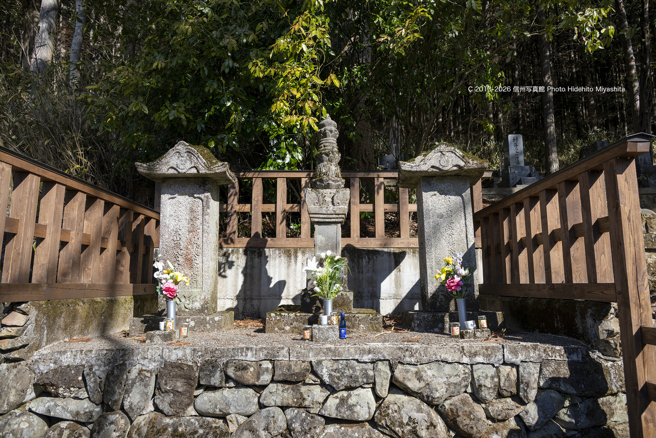 20260314-_DSC2431 のコピー