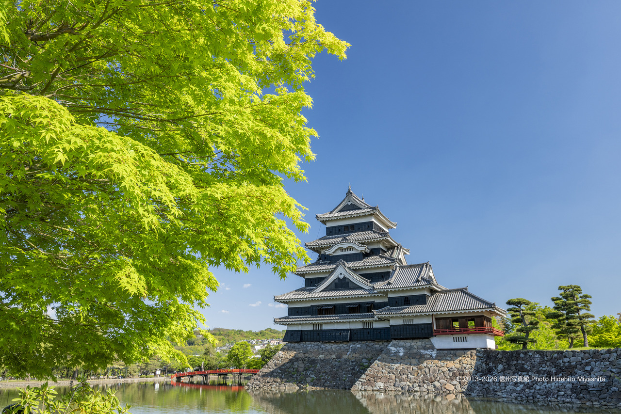20260502-_DSC0579 のコピー