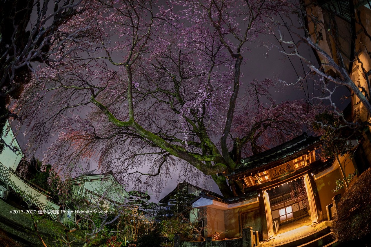 真夜中の黄梅院