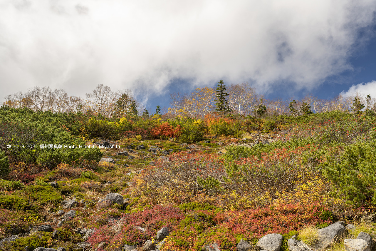 終焉間近の紅葉20211010-_DSC5531jpg