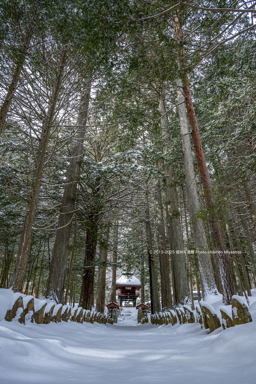 20250208-DSC_9857 のコピー