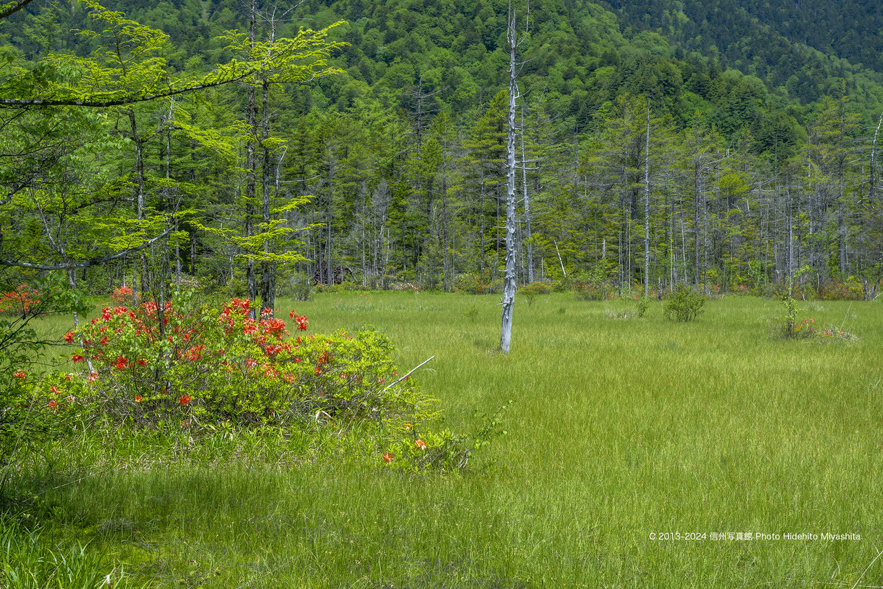 20240608-_DSC5357 のコピー