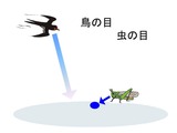 鳥の目と虫の目