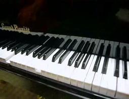 グランドピアニスト