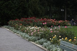 バラ公園