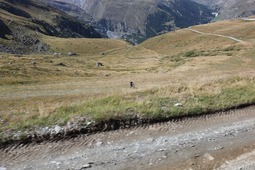 自転車山下り