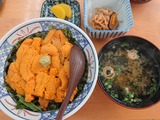 ウニ丼大盛り@花房商店