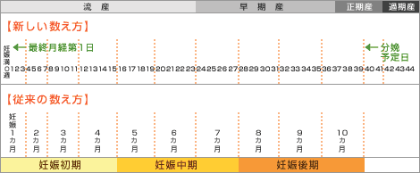 排卵日 妊娠 基礎体温 簡単学習のコーナー 排卵日学習 妊娠排卵日の計算 基礎体温妊娠チェック 不妊症でお悩みの方 排卵日 妊娠 基礎体温 簡単学習のコーナー 排卵日学習 妊娠排卵日の計算 基礎体温妊娠チェック 不妊症でお悩みの方