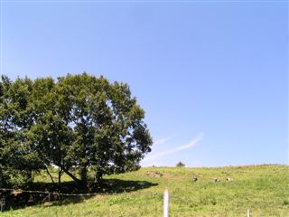 20040816-2