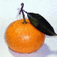 はっさく