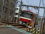 RIMG0049