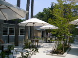 20060806-2
