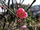 20080211-1