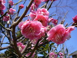 20060304-1