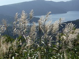 RIMG0055