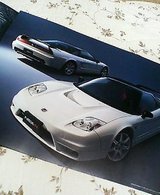 96959352.jpg