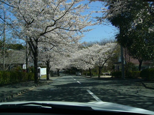 20060401-1