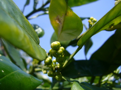P1130718