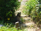 20070619-1