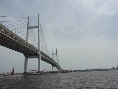 RIMG0067