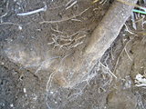 20060109-8