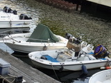 RIMG0005