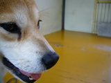20060806-7