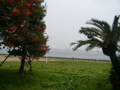 P1100636
