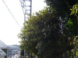 P1090846