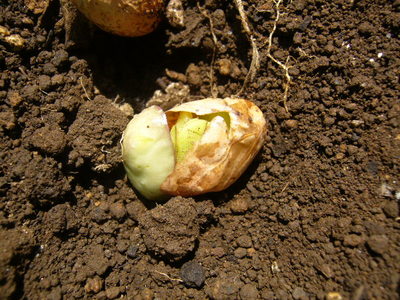 P1140081