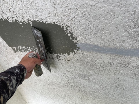 LINE_ALBUM_関空ペット様物件塗替え工事_231025_283