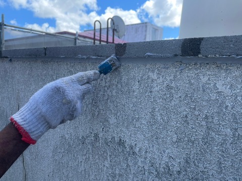 LINE_ALBUM_関空ペット様物件塗替え工事_231025_161