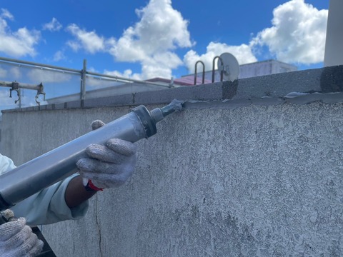 LINE_ALBUM_関空ペット様物件塗替え工事_231025_160