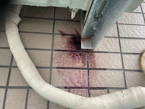 LINE_ALBUM_金城様共同住宅塗替え工事_230518_31