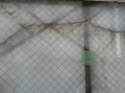 LINE_P20191216_171210 2