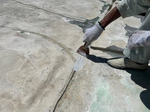 LINE_ALBUM__231016_151